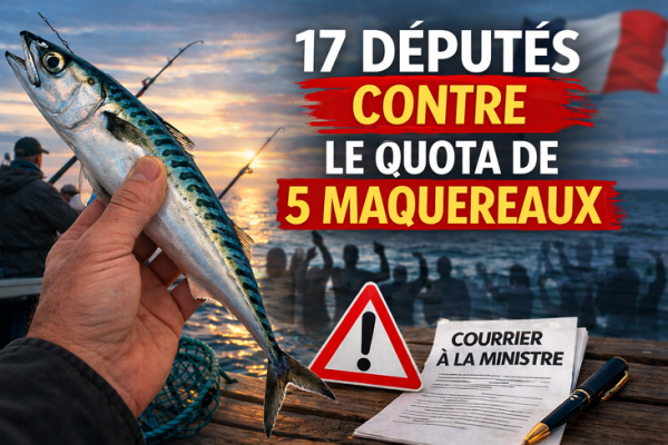 Quota de 5 maquereaux pour la p�che de loisir : 17 d�put�s se positionnent contre