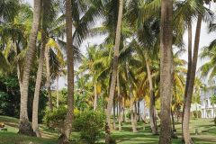 Partir p�cher aux Antilles