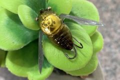 Le nano siglett mesure 2,4 cm.