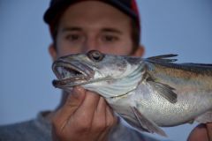 P�cher en grandes profondeurs