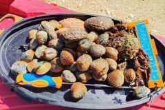 Retour de grandes mar�es