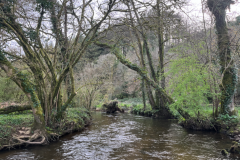 Une session rapide qui fait plaisir avec de jolies truites actives.