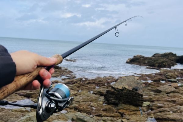 P�che du bar � la mar�e montante ou descendante ?