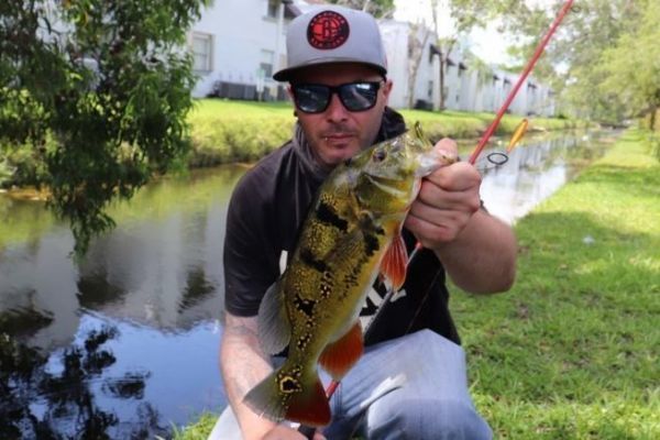 Street fishing à Miami : stratégie, exploration et observation