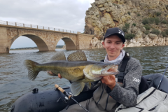 Du poisson sous les ponts ou � proximit�