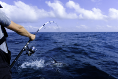 Quelles techniques pour p�cher en mer ?