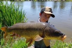 P�che de la carpe au bord