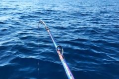 Daiwa Tanacom Boat