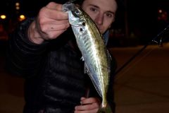 P�cher le s�vereau de nuit