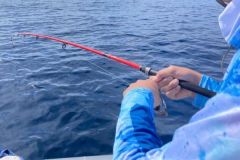 P�cher au pos� en bateau