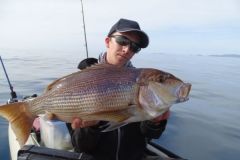 P�cher le denti au calamar