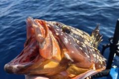 P�che du m�rou en Espagne
