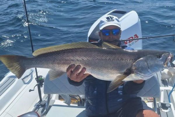 Fishing for meagre: an exceptional and memorable catch!