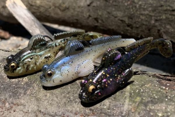 Ce gobie est vraiment réussit et efficace !