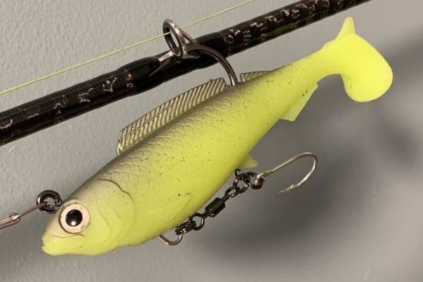 L'HerculeZ est solide !