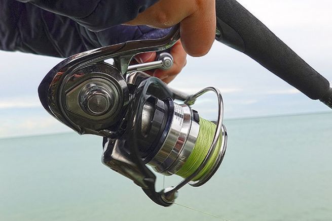 Daiwa Exist vs Shimano Stella