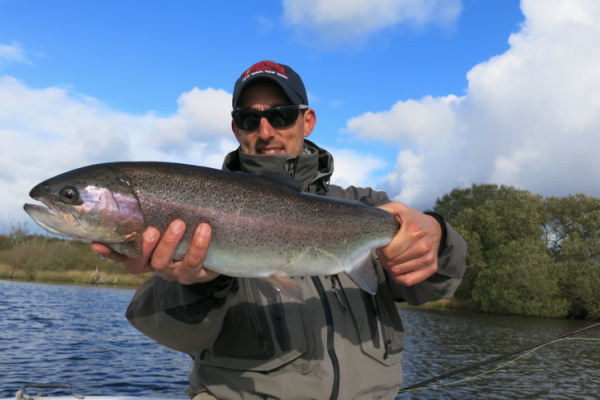 Le shipman buzzer est une des meilleures imitations d'�mergence de chironome