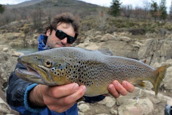 Choisir son objectif photo