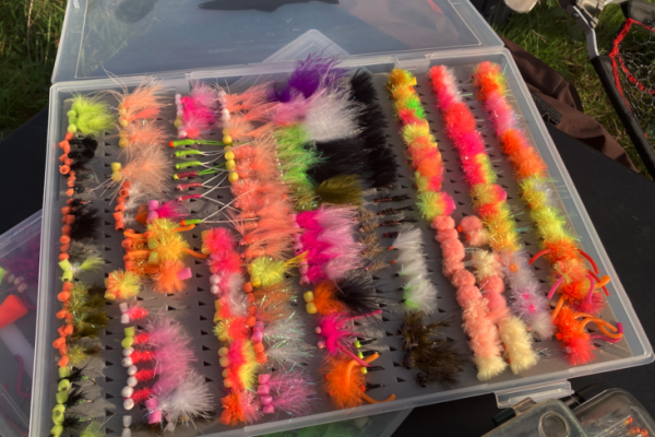 La pche avec un seul booby permet parfois de tirer son pingle du jeu en rservoir