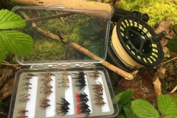 Les noy�es fonc�es sont indispensables pour rechercher l'ombre et la truite en France et � l'�tranger