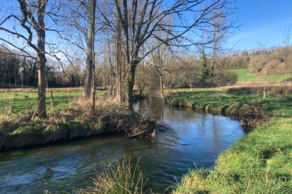 L'ouverture et le retour au bord de l'eau est un moment sacr !