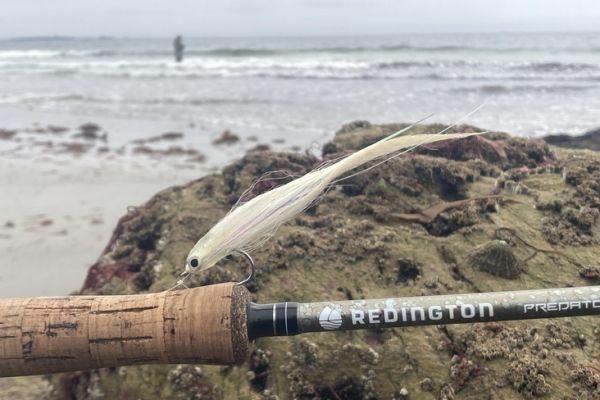 Le matriel pour la pche en plage est  adapter aux conditions et proies du moment