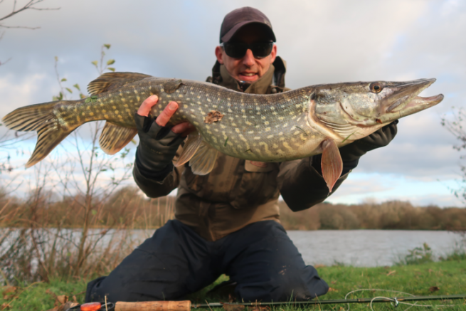 Un joli brochet pris du bord sur une grosse mouche articule