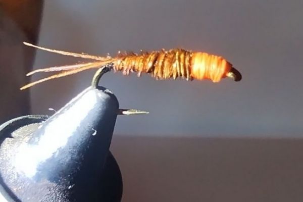 Nymphe pheasant tail tte orange