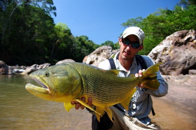 La pche du dorado  la mouche