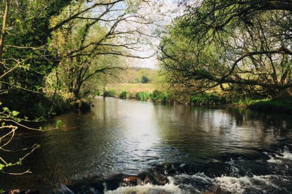 L'Aven est une magnifique petite rivire du Sud Bretagne  dcouvrir entre fin Avril et la fermeture