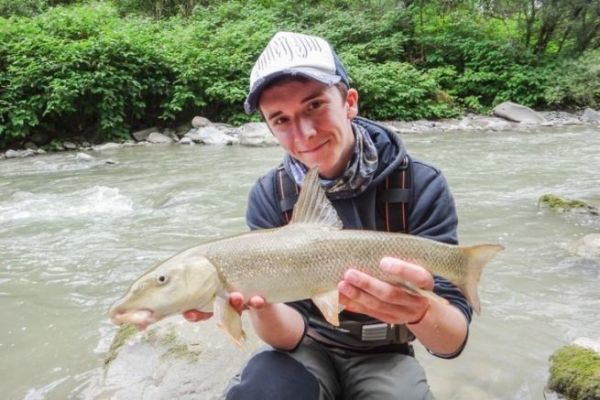 Pêche à l'emmental du barbeau