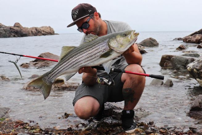 Deuxième jour de pêche au bar rayé, l'exploration des plages de ...