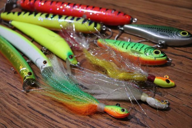 Slection de leurres pour pcher le peacock bass.