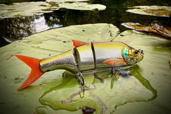 Join the Lure Revolution !