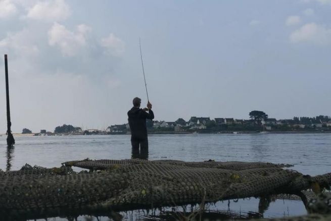 Pêche Au Bar Du Bord De Mer Aux Leurres
