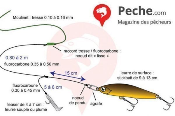 Creating a surface lure and teaser rig for speckled bass