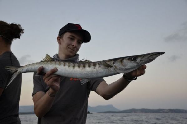 La pche du barracuda en bateau