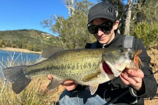 Pche du black-bass en flipping au rubber jig