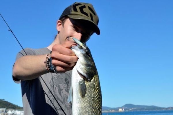 Le matériel pour réussir aux leurres en mer