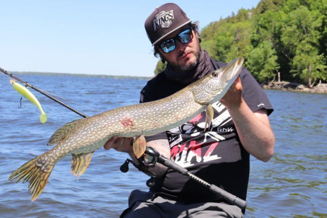 Brochet du lac Champlain, Qubec.