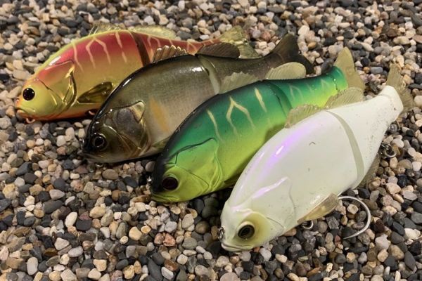 Le Gantarel d'Illex fait son retour !