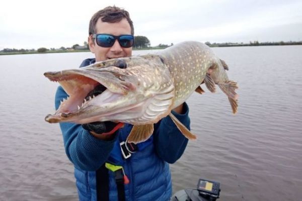 Pike fishing in the Dutch polders, top 5 lures