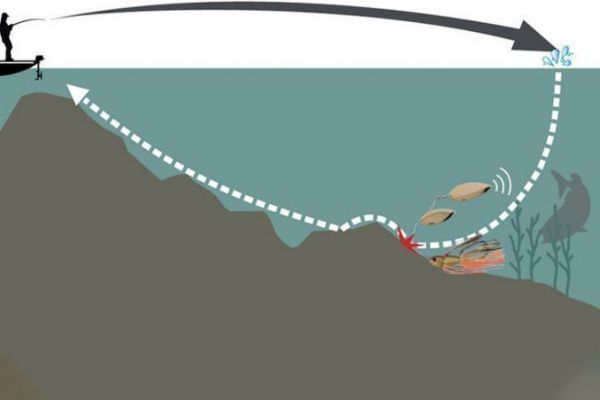 Animation du spinnerbait en slow-rolling