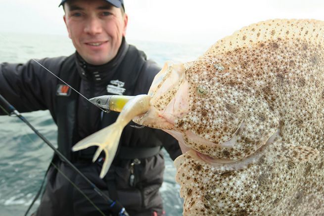 Turbot pris sur une imitation de lanon