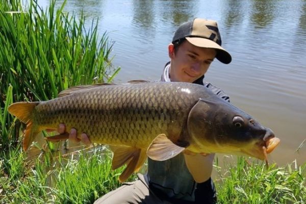 Pêcher la carpe à l'automne