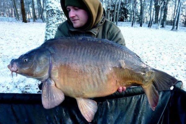 Pêche du sandre en verticale: préparation du matériel pour l'hiver !