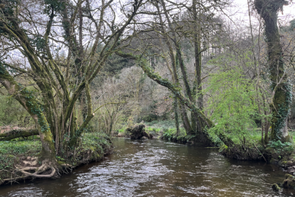 Une session rapide qui fait plaisir avec de jolies truites actives.