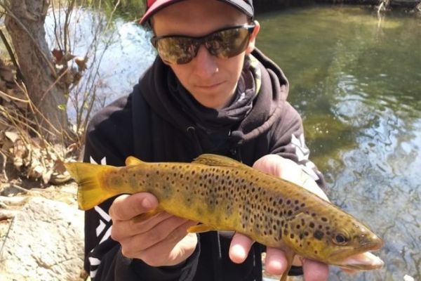 Pêcher la truite en fin de saison