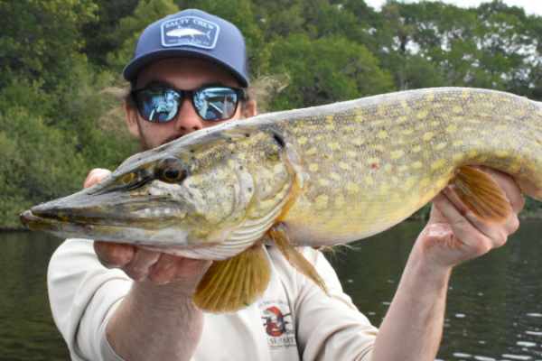Pêche du brochet