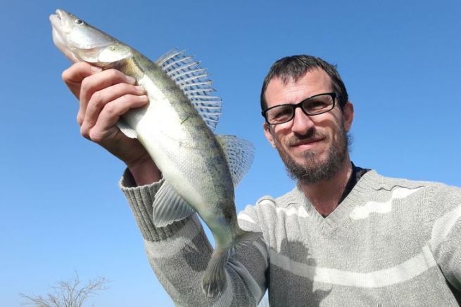 La pche au poisson mort